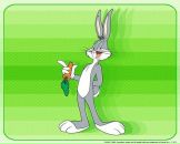 Фотография Morozov Pavel