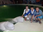 Анна Минаева фотография #43 (источник - https://vk.com/id2178564)