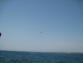 Ірина Куціль фотография #35 (источник - https://vk.com/id75292378)