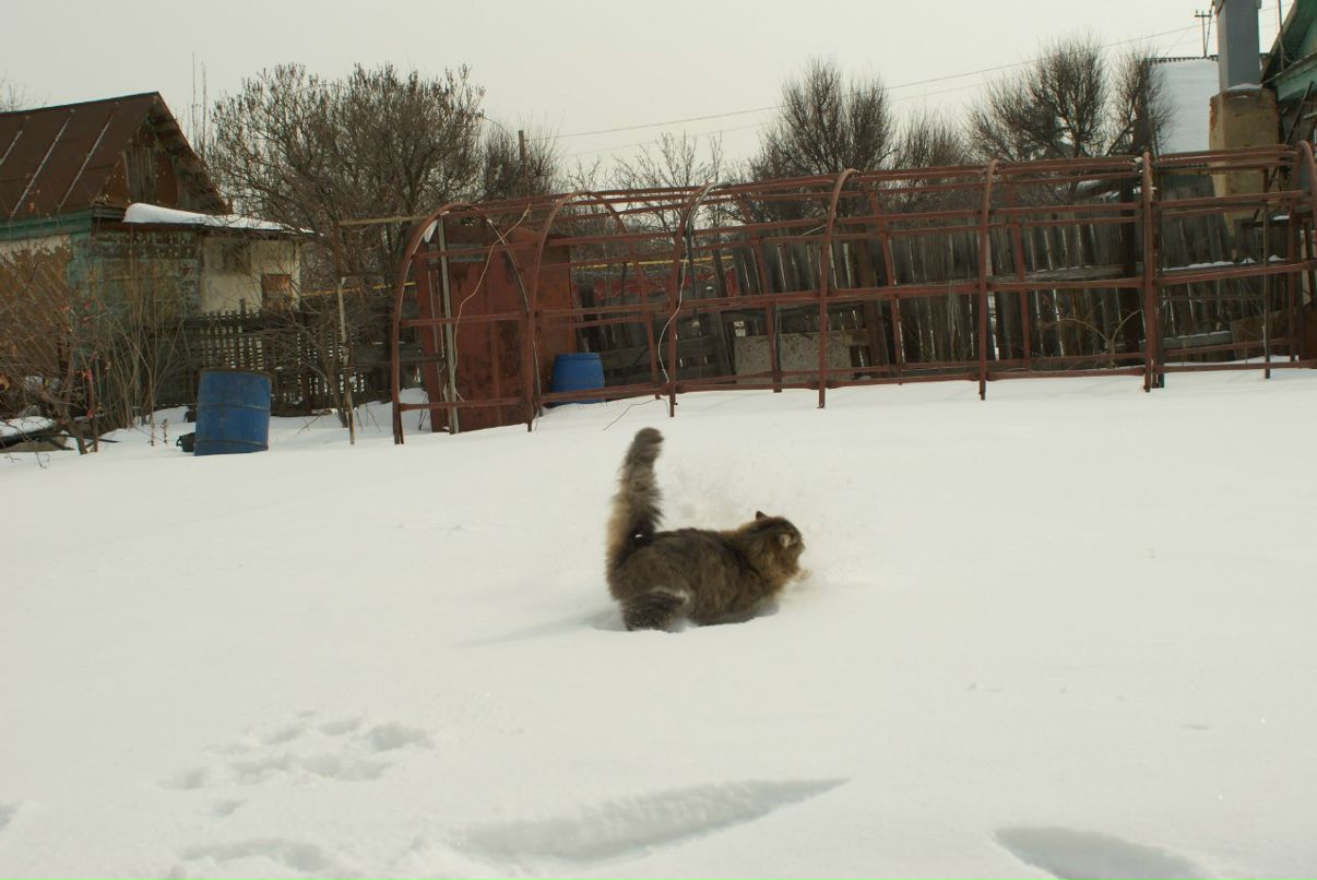 Anton Kasimov фотография #38