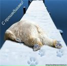 Фотография Grc Игоря