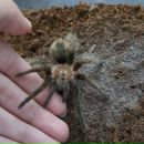 Наталія Козун фотография #49 (источник - https://vk.com/id10325257)