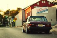 Фотография Дерево Симао