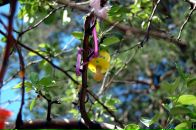 Ирина Бабенко фотография #27 (источник - https://vk.com/id2244513)