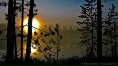 Фотография Вартиайнен Анны