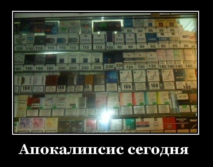 Дмитрий Саковцев фотография #43