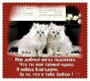 Іра Савенко фотография #28 (источник - https://vk.com/id46713539)