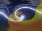 Фотография N Nik