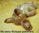 Фотография Наталья Мациенко
