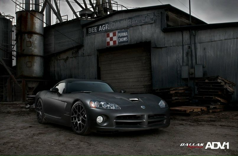 Vasa Plotnik фотография #46