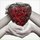 Фотография Пикалова Сергея