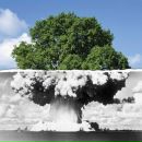 Фотография Хакимов Азамат