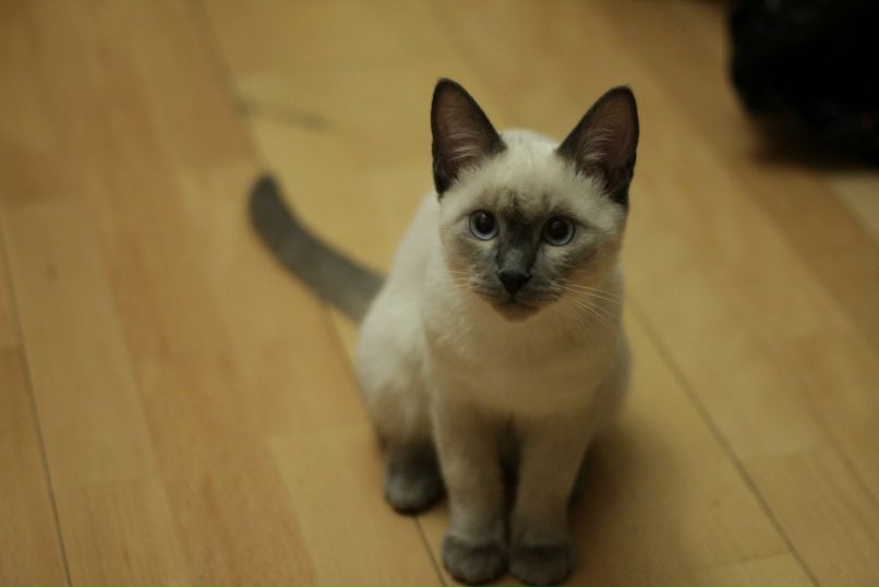 Дарья Салюк фотография #3