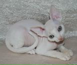 Фотография Бородиной Анастасии