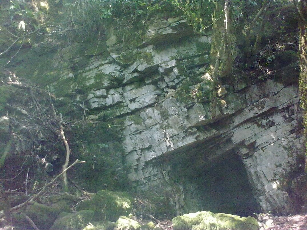 Igor Igor фотография #50