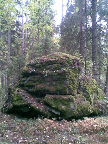Оля Решетова фото №6