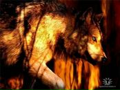 Фотография Скородубцева Александра