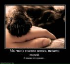 Фотография Полтавской Алисы