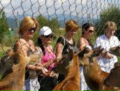 Євгенія Ластівка фотография #33 (источник - https://vk.com/id65667193)