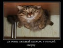 Олександр Міщенко фотография #49 (источник - https://vk.com/id22552565)