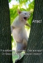 Я... ФоЛныФко=) фотография #6 (источник - https://vk.com/id58452694)