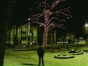 Толік Ковальчук фотография #48 (источник - https://vk.com/id59693578)