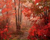 Олександр Бардахівський фотография #5 (источник - https://vk.com/id68328018)