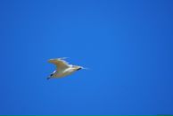 Иван Плотников фотография #30 (источник - https://vk.com/id1830573)