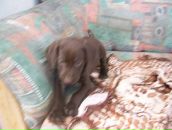 Іван Алмаші фотография #19 (источник - https://vk.com/id89643469)