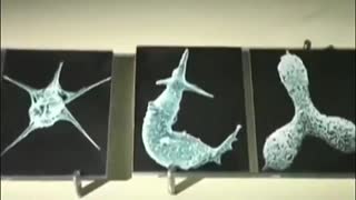 Происхождение Человека. Новейшие открытия астробиологов. Тайны мира. Документаль