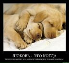 Фотография Анисимовой Ирины