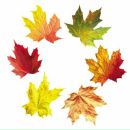 Фотография Кудобиной Тани