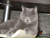 Фотография Лобовой Дарьи