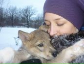 Фотография Захаров Антон