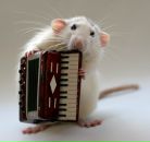 Фотография Одинокова Станислава