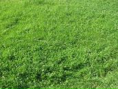 Фотография Кипятковой Анны