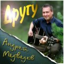 Andrey Medvedev фотография #9 (источник - https://vk.com/id54342117)