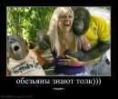 Віталій Святенко фотография #4 (источник - https://vk.com/id38990052)