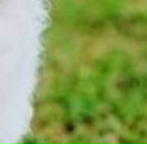 Юлія Мазур фотография #46 (источник - https://vk.com/id138895093)