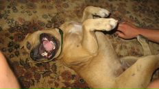 Серий Челядін фотография #31 (источник - https://vk.com/id7693308)