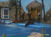 Міша Солтис фотография #44 (источник - https://vk.com/id85208825)