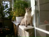 Надежда Тимофеева фотография #38 (источник - https://vk.com/id4454893)