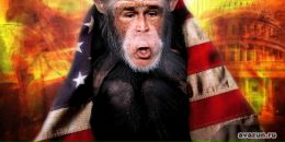 Дима Ляшенко фотография #32 (источник - https://vk.com/id20479954)