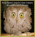 Фотография Олеся Котик