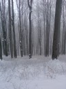 Вася Сірий фотография #12 (источник - https://vk.com/id70227408)