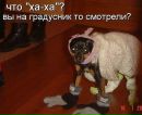 Фотография Дмитрук Алеси