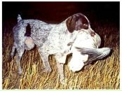 Фотография Штей Марии