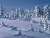 Костя Нікуровський фотография #4 (источник - https://vk.com/id90585113)