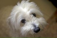 Роман Масалёв фотография #15 (источник - https://vk.com/id108017)