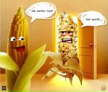 Дмитрий Крысов фотография #17 (источник - https://vk.com/id1389746)